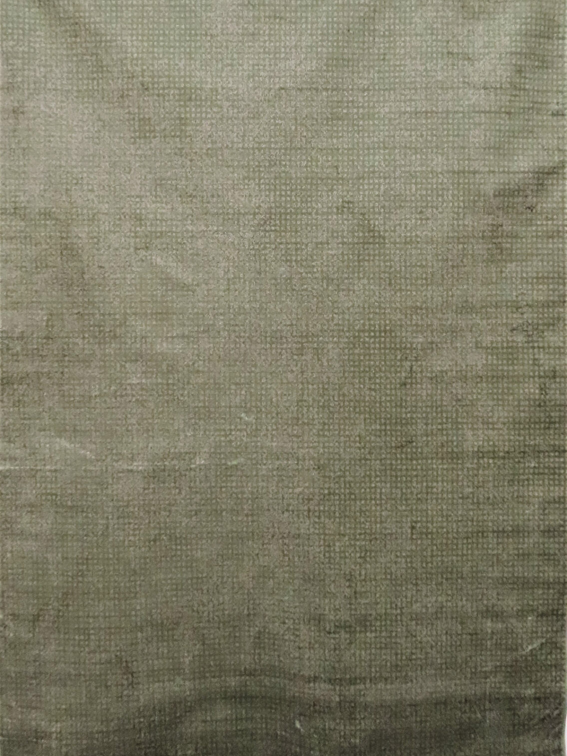 Star Silkie - 2498-94