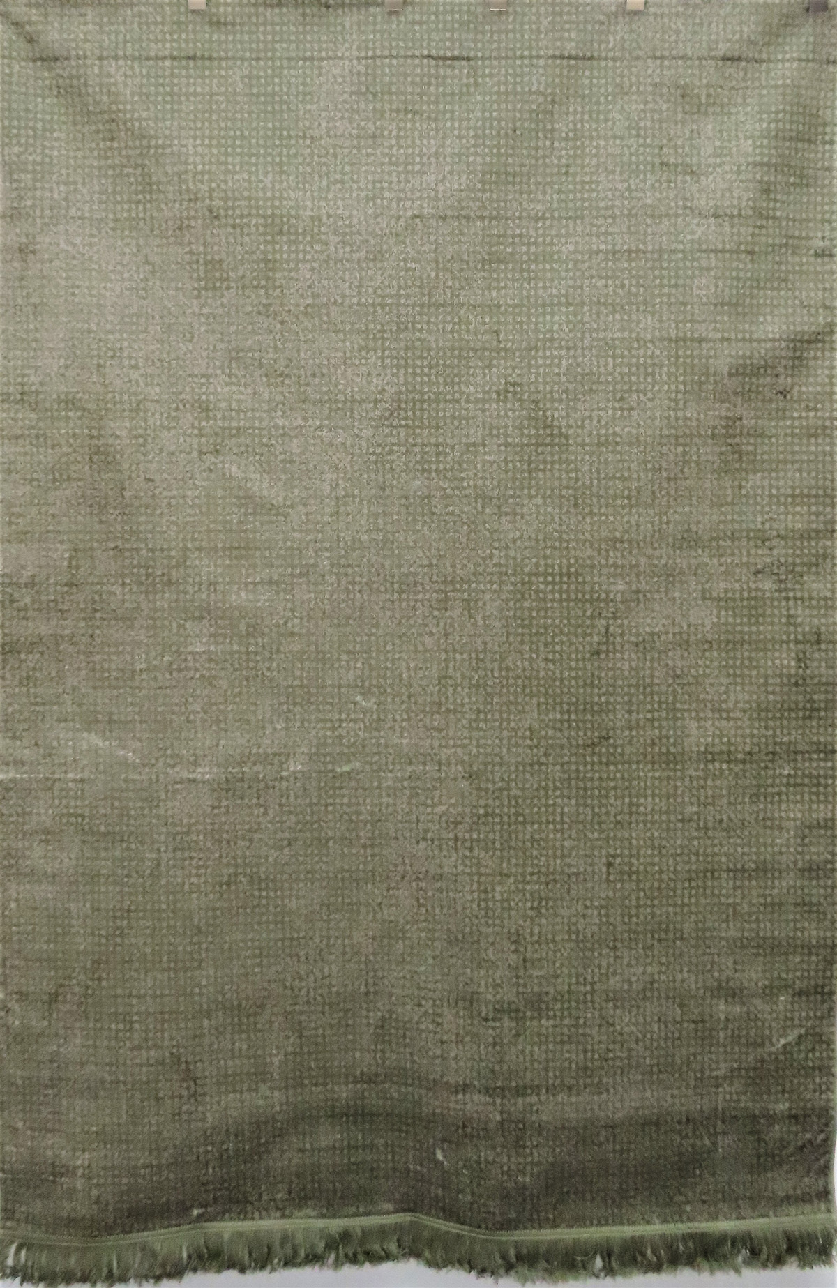 Star Silkie - 2498-94